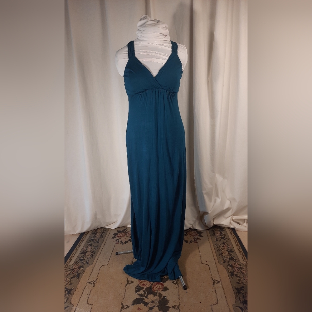 NWT Pink Rose Maxi Dress